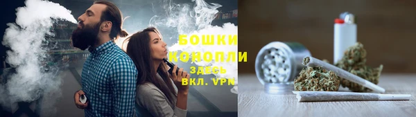 прущие грибы Бородино