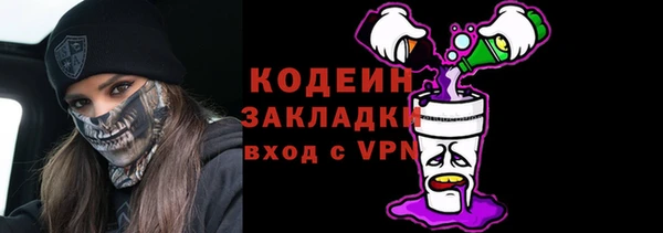 прущие грибы Бородино
