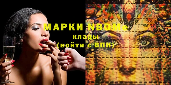 прущие грибы Бородино